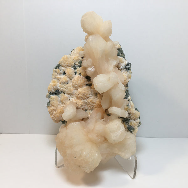 Acrylic Display Stand - 12.99