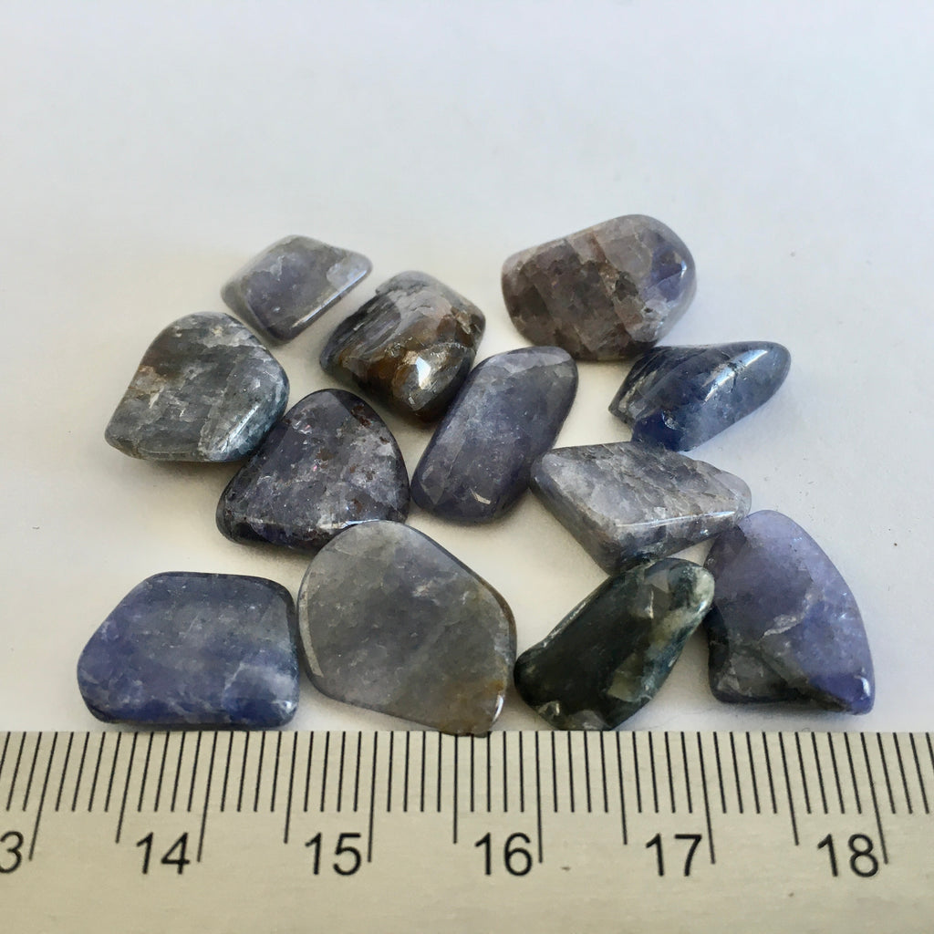 Tanzanite Tumbled - 3.99