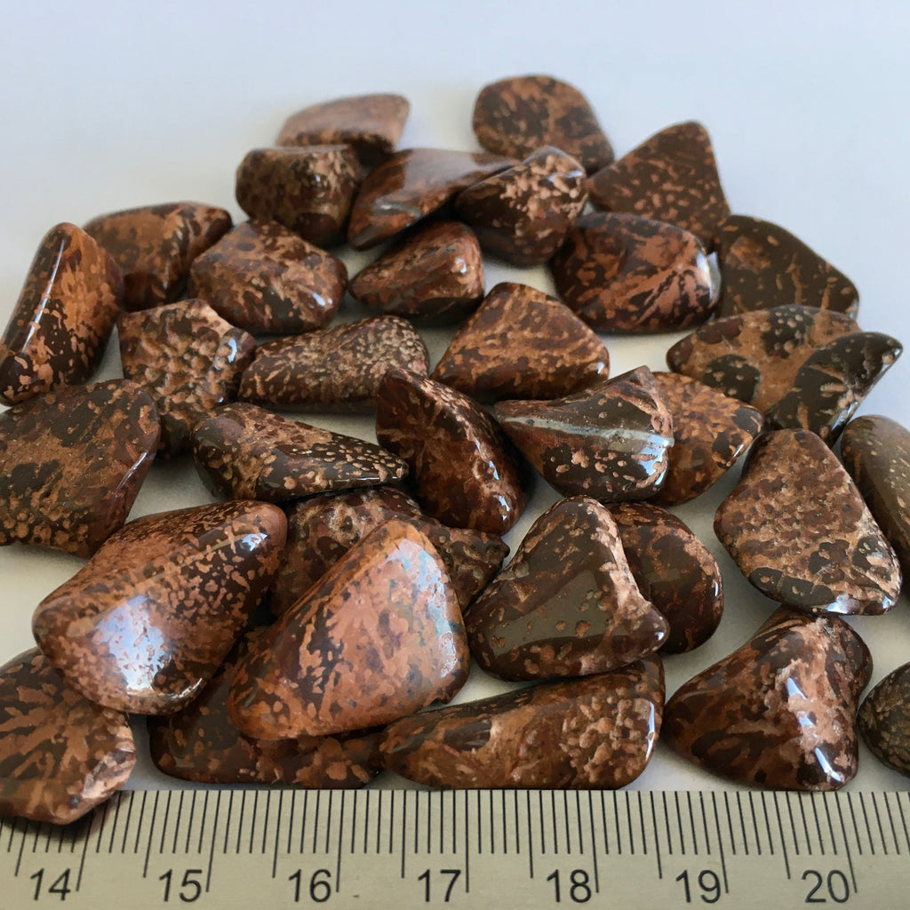 Starburst Jasper Tumbled - 1.99