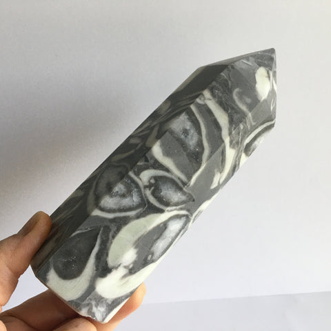 Thousand Eye Jasper - Great for Psychic Development and Change