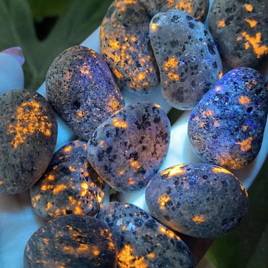 Yooperlite, the Mysterious Glowing Rock!