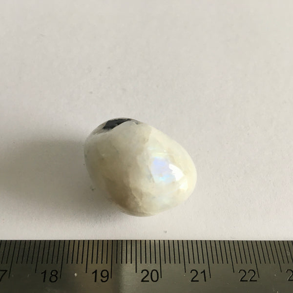 Rainbow Moonstone Tumbled - 5.99