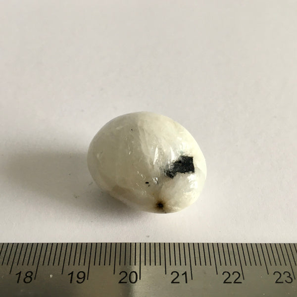 Rainbow Moonstone Tumbled - 5.99