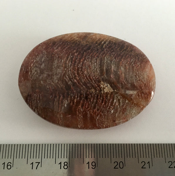 Thousand Layer Quartz Palm Stone - 14.99