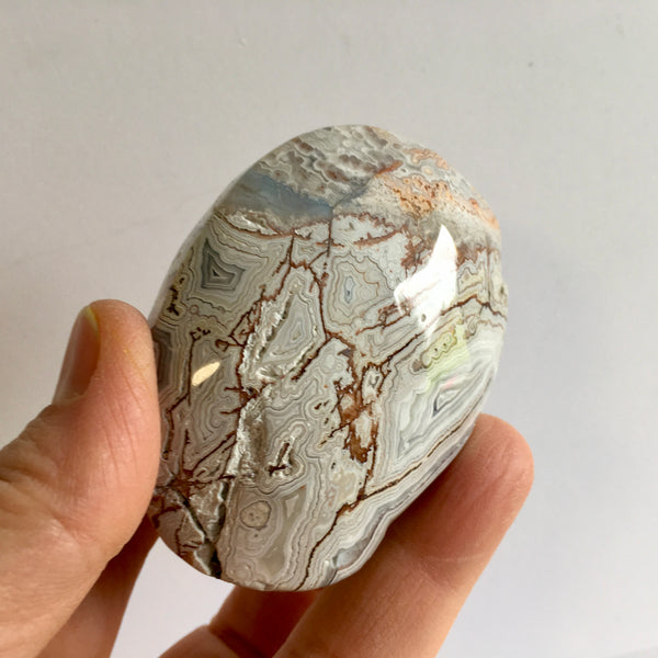 Crazy Lace Agate Palm Stone - 19.99
