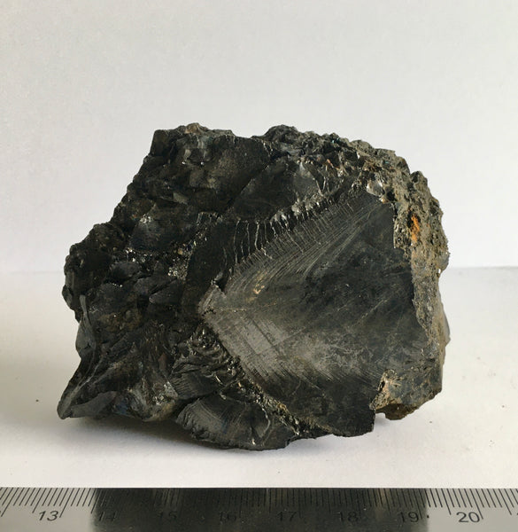 Noble Elite Shungite - 59.00