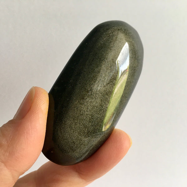 Gold Sheen Obsidian Palm - 23.99