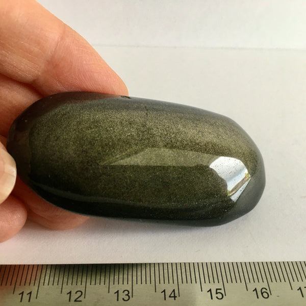 Gold Sheen Obsidian Palm - 23.99