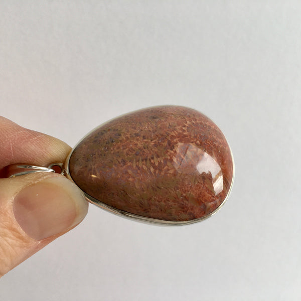 Sea Urchin Fossil Pendant - 46.96 reduced to 39.96