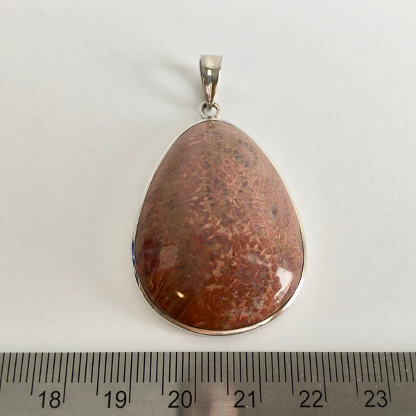 Sea Urchin Fossil Pendant - 46.96 reduced to 39.96