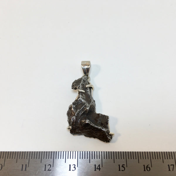 Meteorite Pendant - 82.99