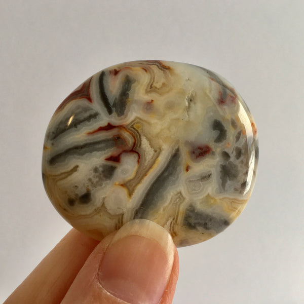 Crazy Lace Agate Palm Stone - 18.99