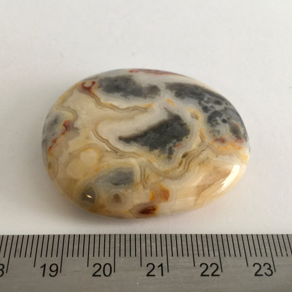 Crazy Lace Agate Palm Stone - 18.99