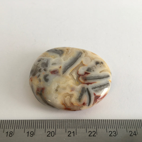 Crazy Lace Agate Palm Stone - 18.99
