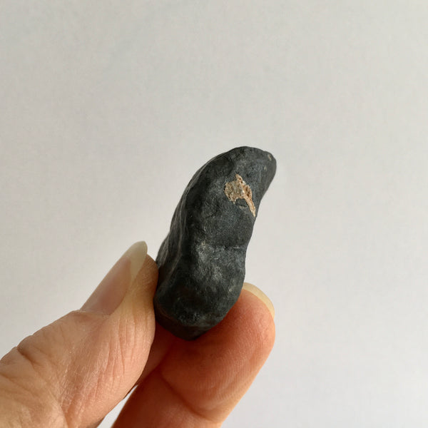 Black Merlinite Psilomelane - 21.92