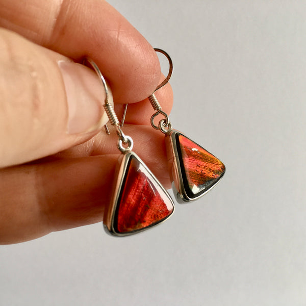 Ammolite Earrings - 197.99