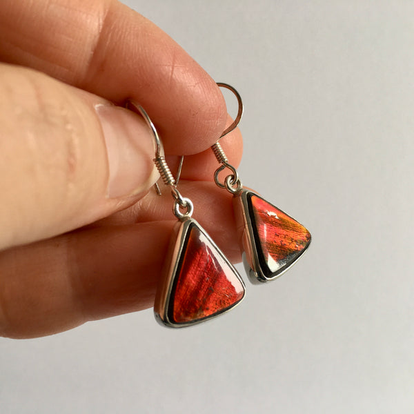 Ammolite Earrings - 197.99