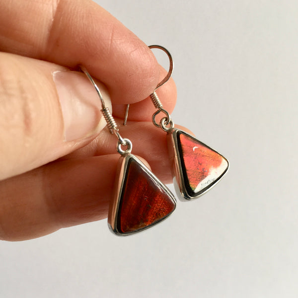 Ammolite Earrings - 197.99