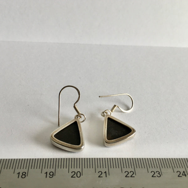Ammolite Earrings - 197.99
