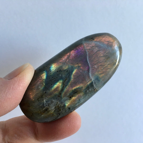 Labradorite Palm Stone - 29.99