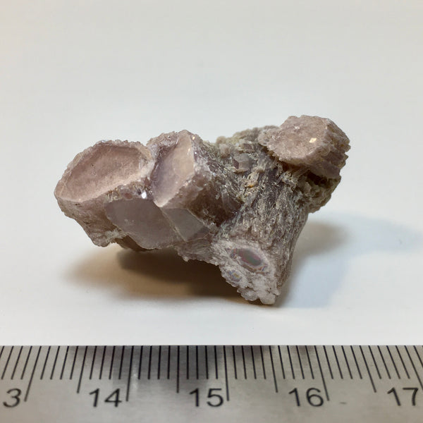 Lepidolite Stem - 19.50 now 5.99!
