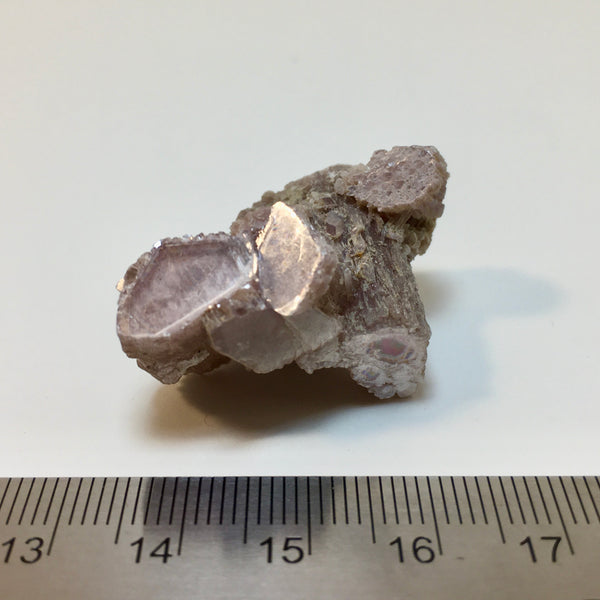 Lepidolite Stem - 19.50 now 5.99!