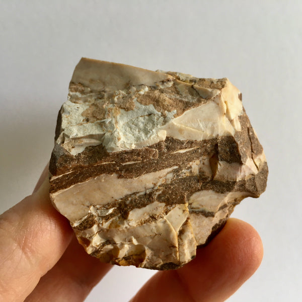 Zebra Jasper Natural - 7.99 - now 3.99!