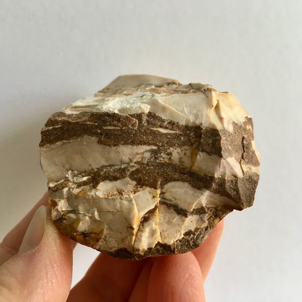 Zebra Jasper Natural - 7.99 - now 3.99!
