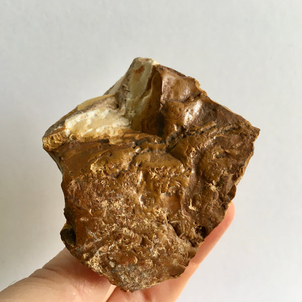 Zebra Jasper Natural - 7.99 - now 3.99!