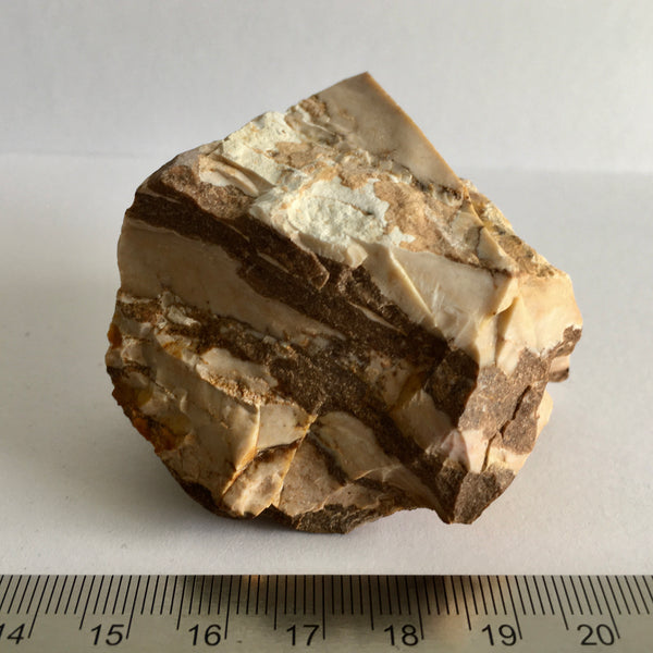 Zebra Jasper Natural - 7.99 - now 3.99!