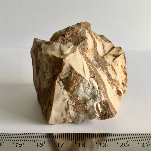 Zebra Jasper Natural - 7.99 - now 3.99!