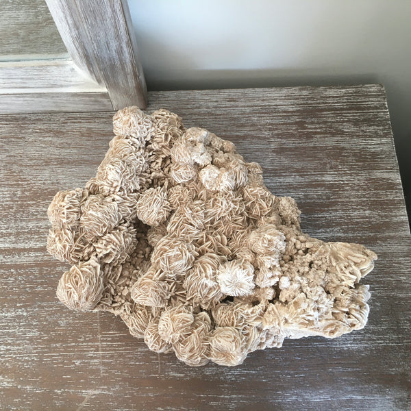 Desert Rose Cluster - 539.00