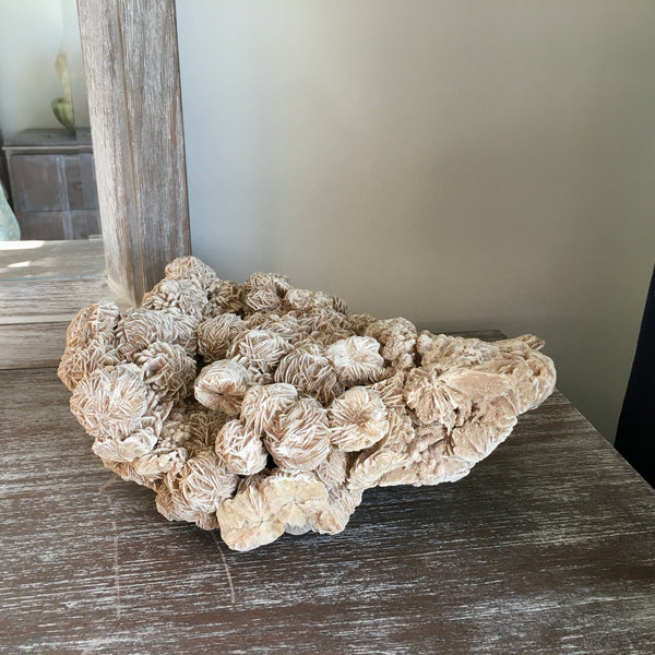 Desert Rose Cluster - 539.00