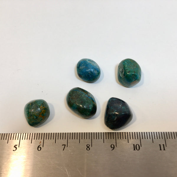 Chrysocolla Tumbled - 2.99