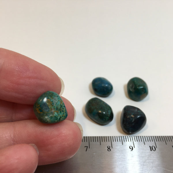 Chrysocolla Tumbled - 2.99