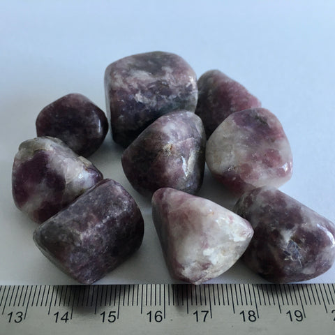 Lepidolite Tumbled - 2.99