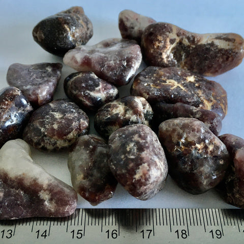 Lepidolite Tumbled - 1.99