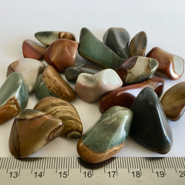 Polychrome Jasper Tumbled 2.99 now 1.99!