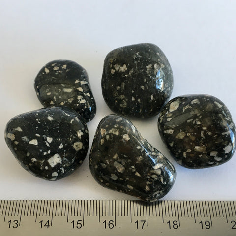 Guinea Fowl Jasper Tumbled - 2.99