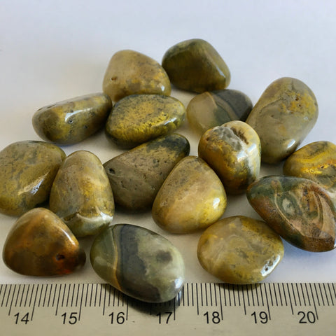 Bumblebee Jasper Tumbled - 2.99