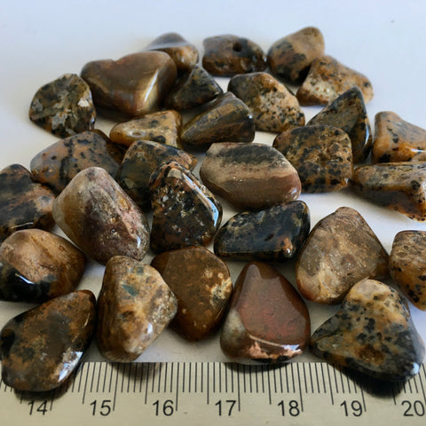 Cheetah Agate Tumbled - 0.99