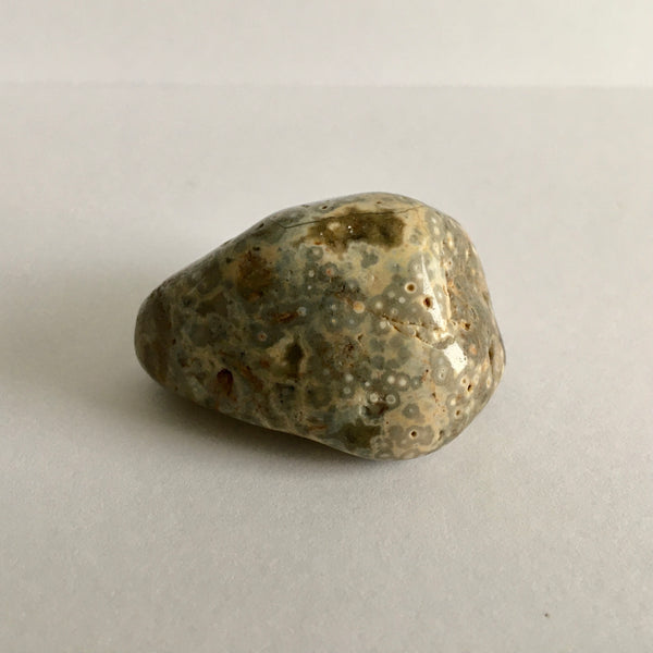 Ocean Jasper Stone - 17.49