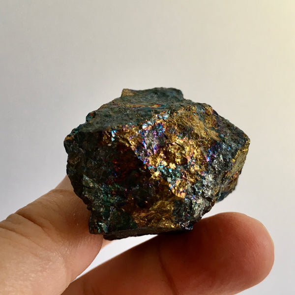 Bornite or Peacock Ore with Chalcopyrite - 24.99