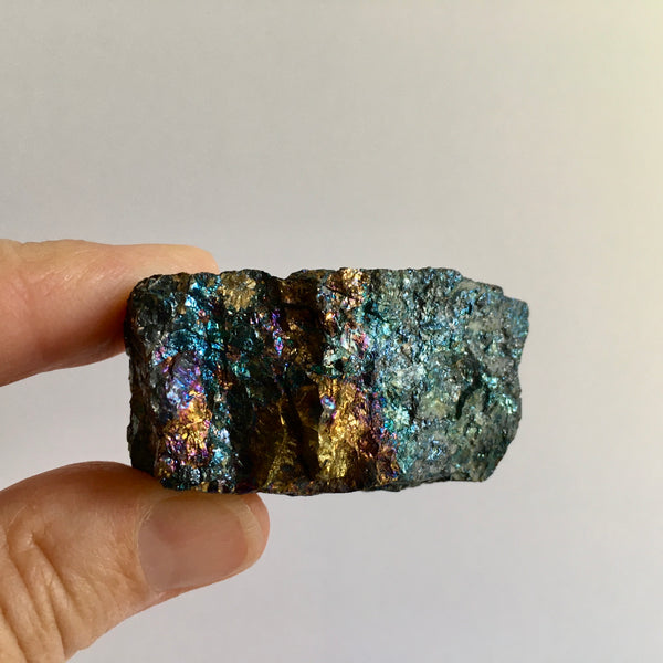 Bornite with Chalcopyrite - 19.99
