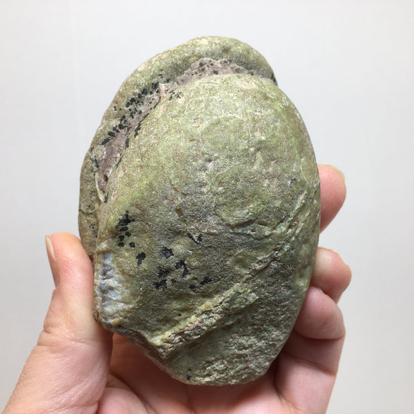 Agate Slice - 29.99 - now 14.99 - Half Price!