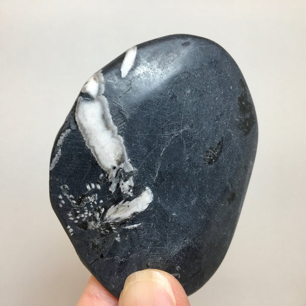 Chrysanthemum Stone - 31.99