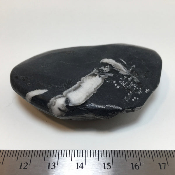 Chrysanthemum Stone - 31.99