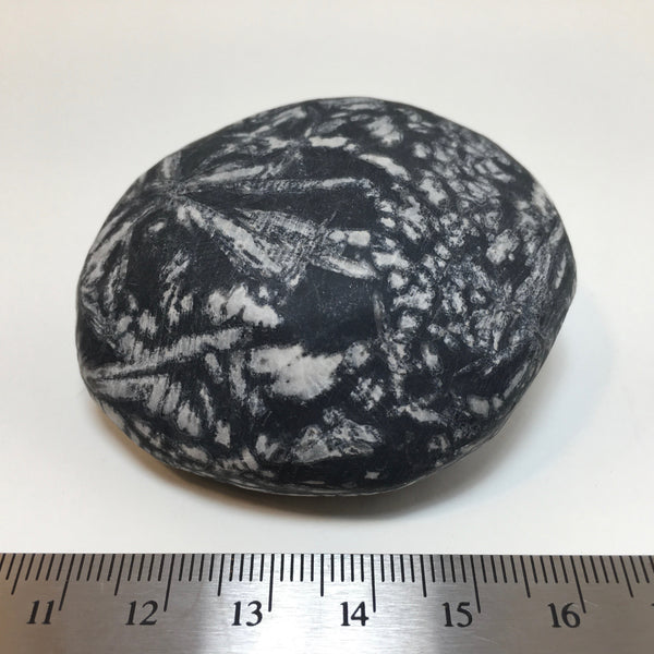 Chrysanthemum Stone - 34.99
