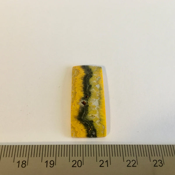 Bumblebee Jasper Cabochon - 29.99 reduced to 19.99