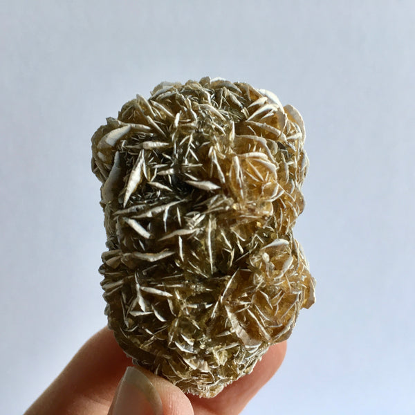 Golden Selenite Desert Rose - 11.99 reduced to 8.99